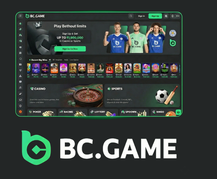 Exploring the Exciting World of BC.Game US